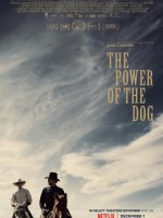 《犬之力》2021电影·阿里云盘·百度网盘·迅雷下载·高清4K观看